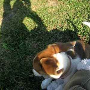 Meet your Posher, Ivonne